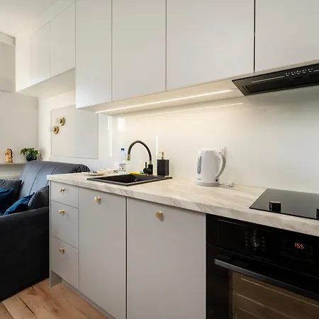 Platon Modern Apartment Lodz (Lodz)
