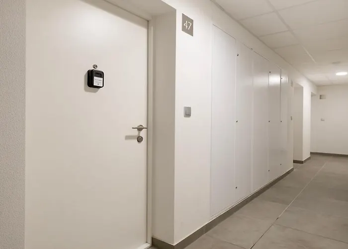 Platon Modern By Bookinghost