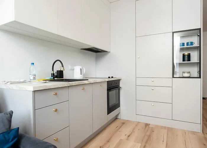 Platon Modern By Bookinghost